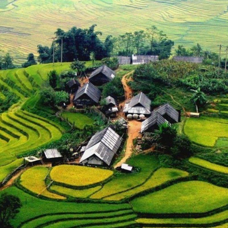 FAQ Về Thung Lũng Mai Châu
