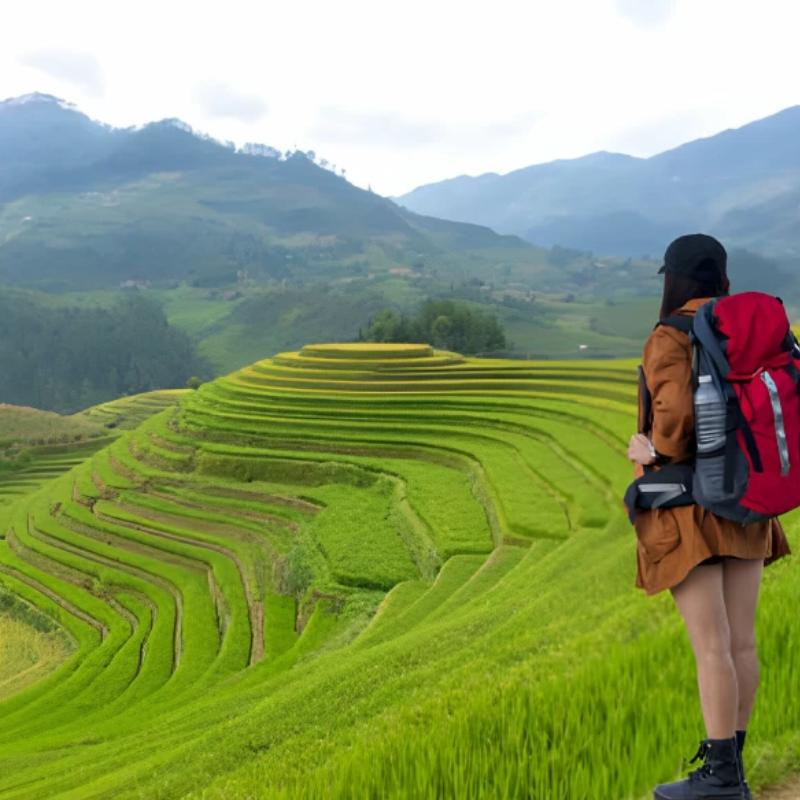 FAQ Về Xã Hầu Thào?

