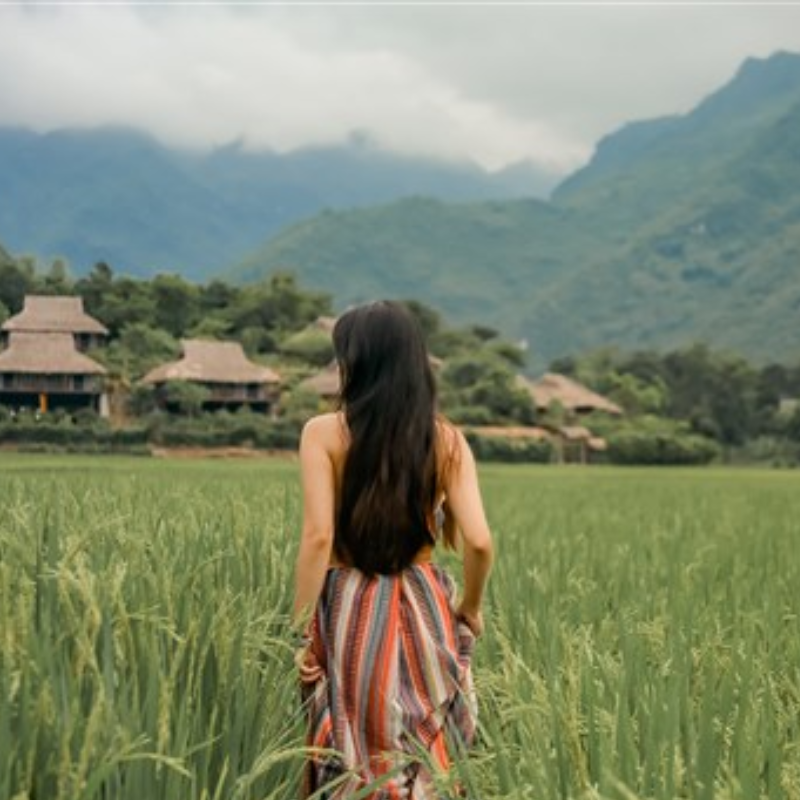FAQ Về Bản Nhót?
