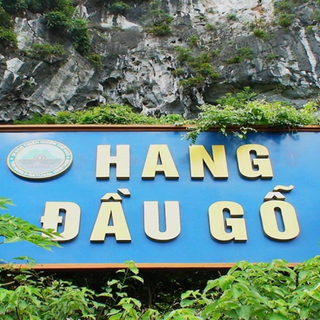 FAQ Về Hang Đầu Gỗ - Giải Đáp Mọi Câu Hỏi Của Bạn