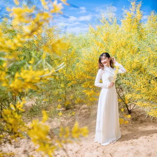 FAQ Về Rừng Hoa Keo Lá Tràm Phan Thiết?
