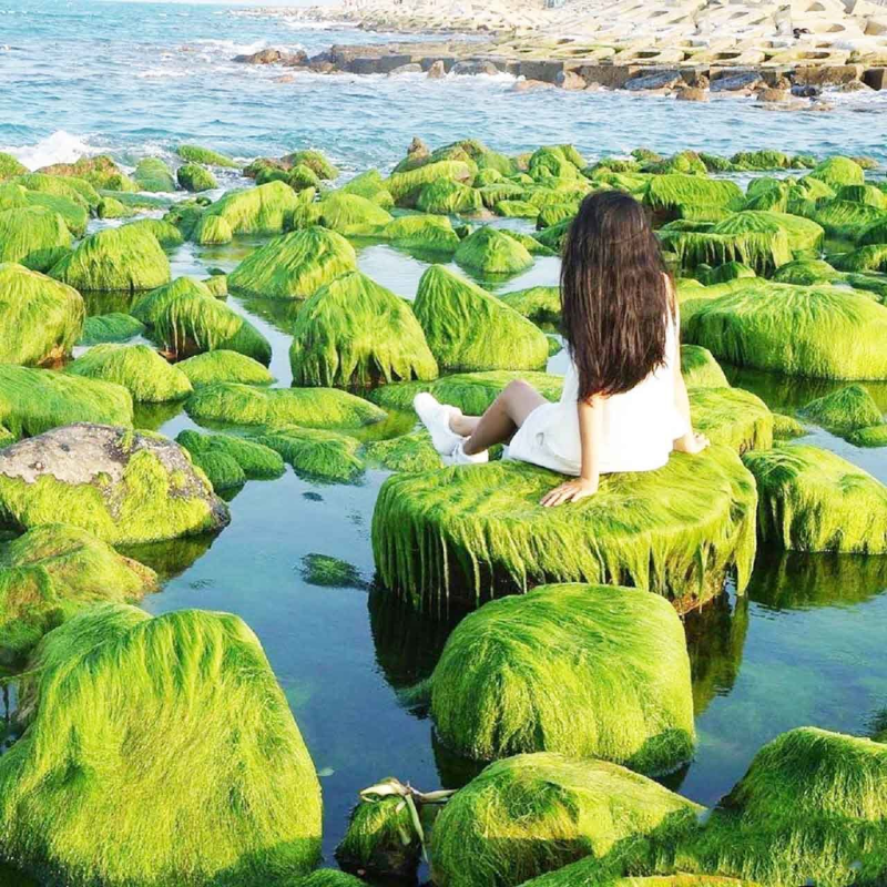 Giới Thiệu Bãi Rêu Xóm Rớ, Vị Trí Ở Đâu?
