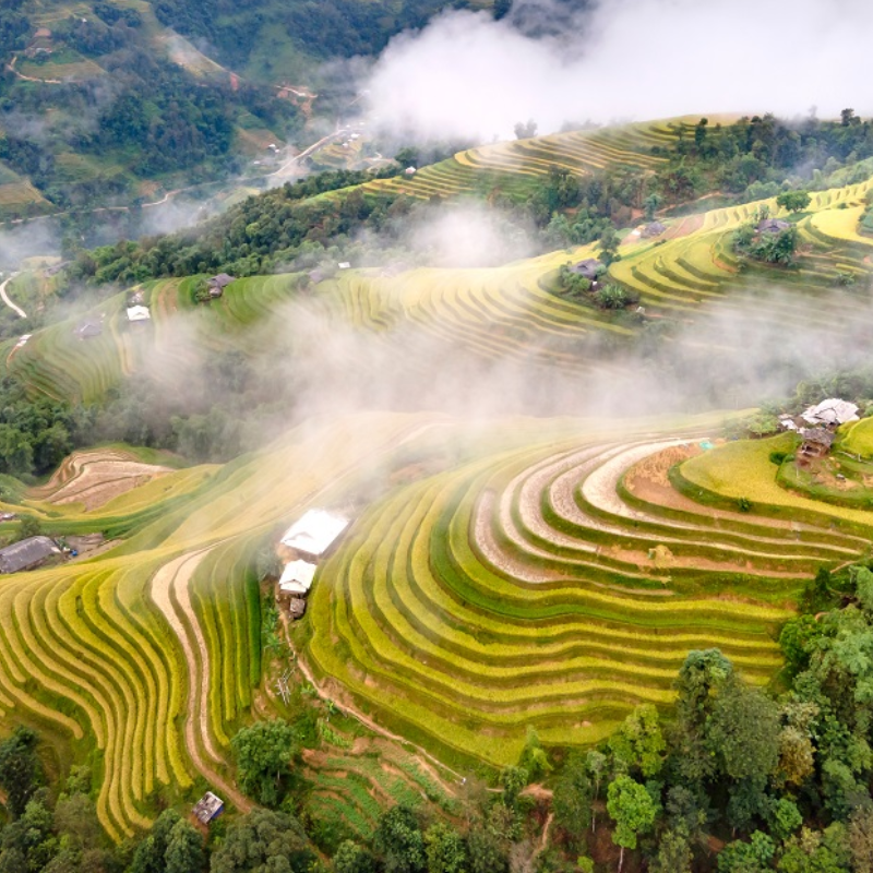 Giới Thiệu Ruộng Bậc Thang Hoàng Su Phì - Địa Chỉ "Vàng" Giữa Non Cao