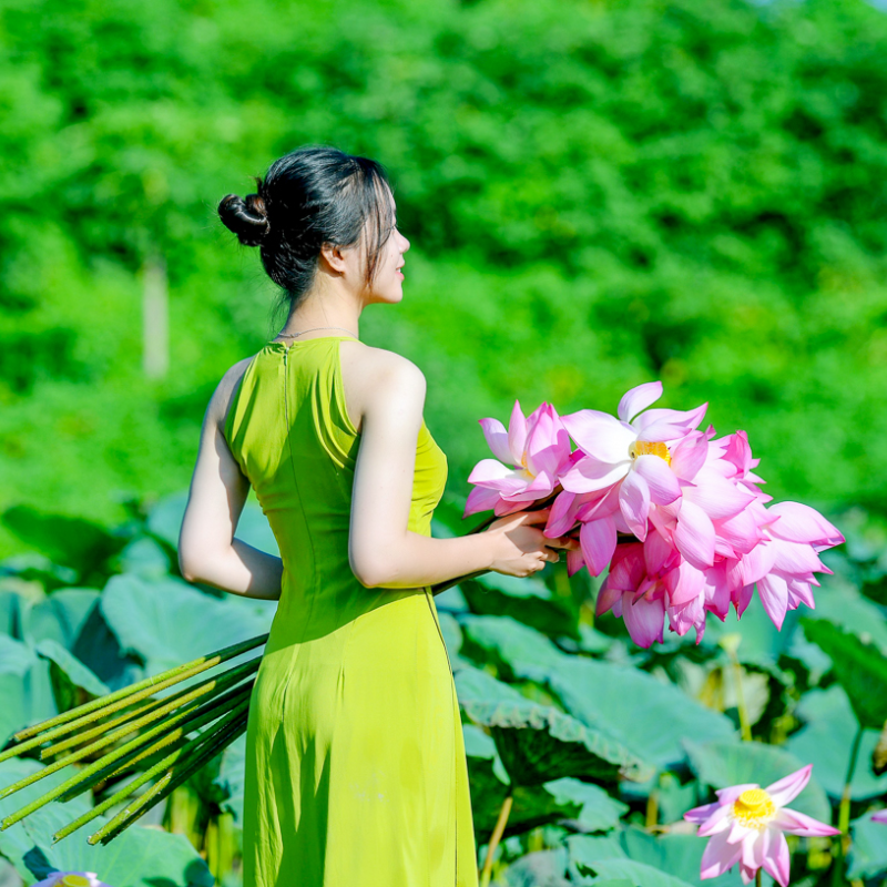 Giới Thiệu Đầm Sen Xuân Đỉnh, Vị Trí Ở Đâu?