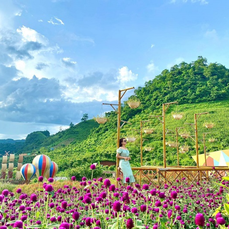 Giới Thiệu Happy Land Mộc Châu, Vị Trí Ở Đâu?