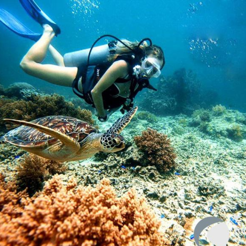 Giới Thiệu Cù Lao Chàm
