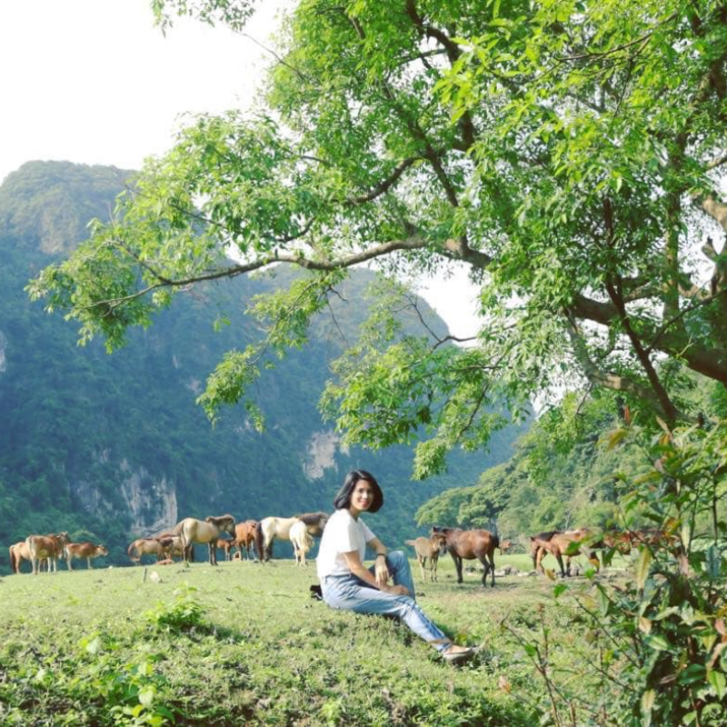 Giới Thiệu Làng Văn Hóa Hữu Liên, Vị Trí Làng Văn Hóa Hữu Liên Ở Đâu?
