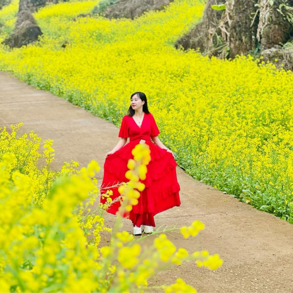 Giới Thiệu Suối Giàng, Vị Trí Ở Đâu?
