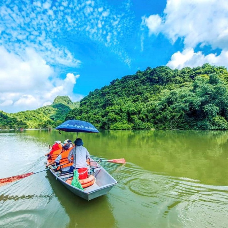 Giới Thiệu Vườn Chim Thung Nham, Vị Trí Ở Đâu?
