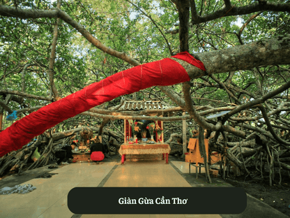 Giàn Gừa Cần Thơ