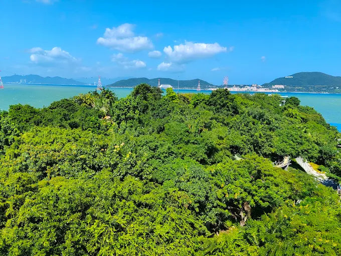 Khám Phá Hồ Cá Trí Nguyên Aquarium On Soi Island: Con Tàu Cổ Hóa Thạch Giữa Lòng Đại Dương Vịnh Nha Trang