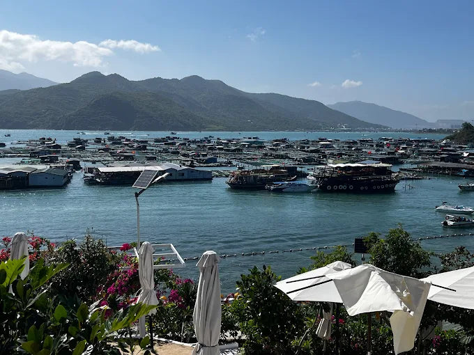 Hồ Cá Trí Nguyên Aquarium On Soi Island