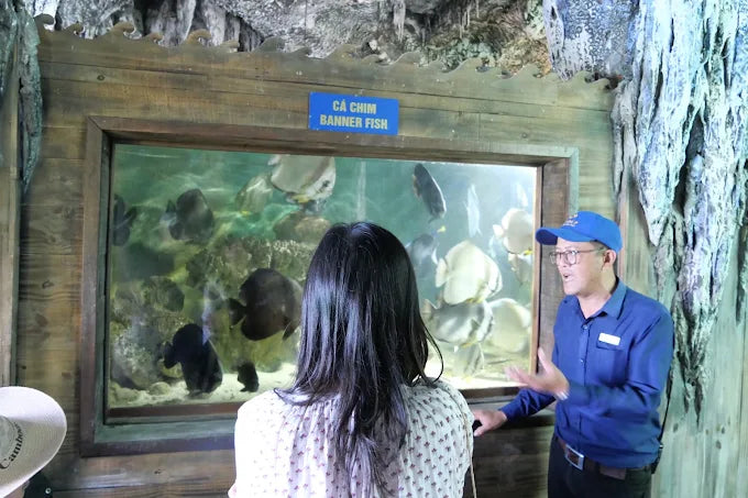 Hồ Cá Trí Nguyên hay Viện Hải Dương Học thú vị hơn, nên đi đâu?