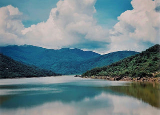 Localtrips.ORG – Chuyên Gia Hành Trình Xanh Tại Đà Nẵng