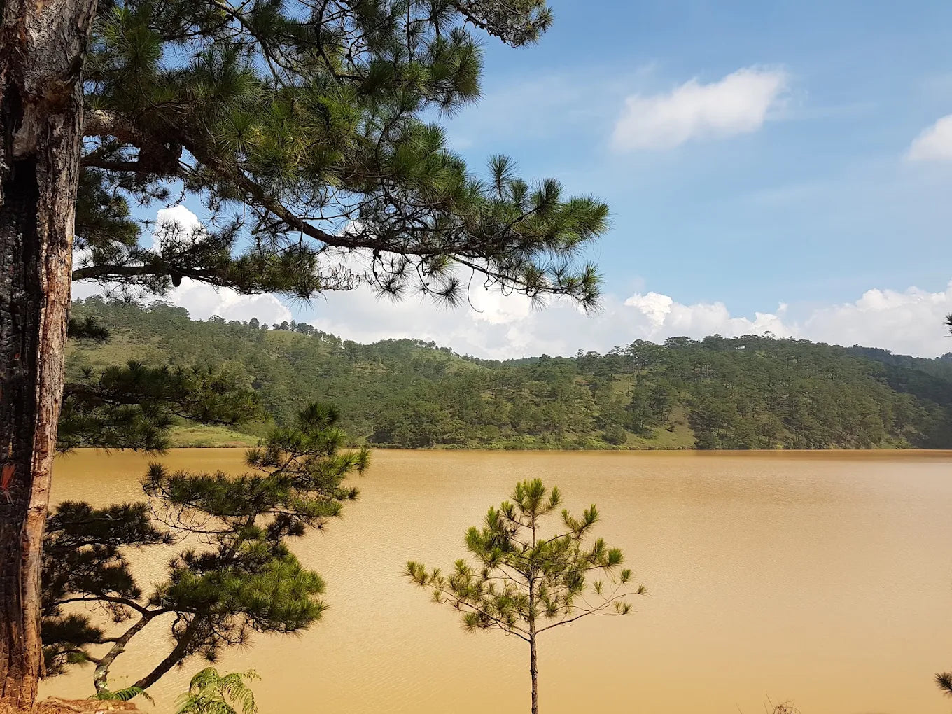 Hồ Đan Kia – Suối Vàng Đà Lạt