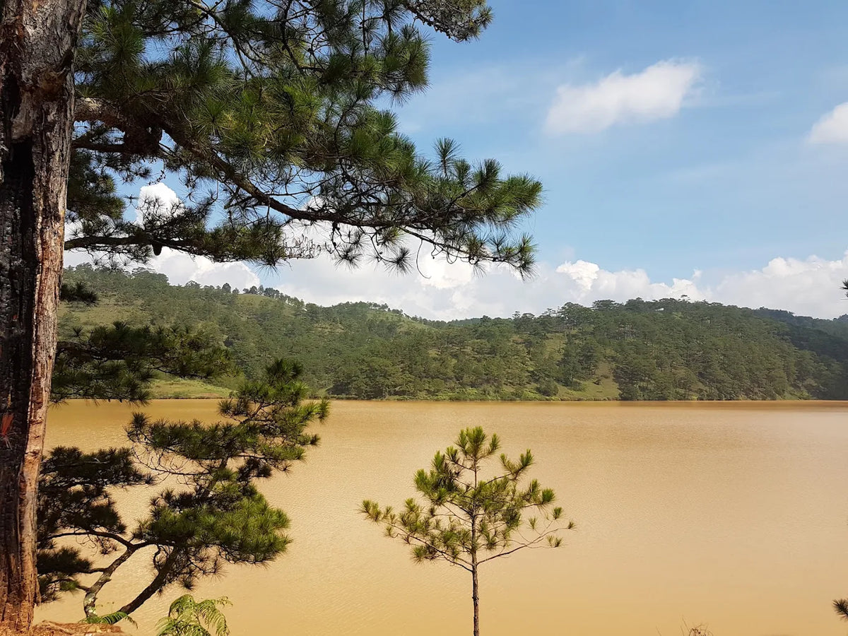 Hồ Đan Kia – Suối Vàng Đà Lạt