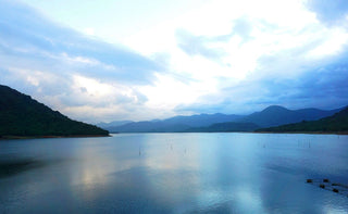 Hồ Núi Một