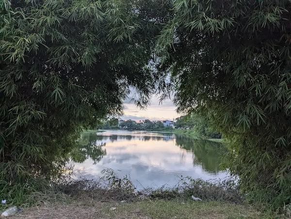 Hồ Tịnh Tâm: "Vườn Thượng Uyển" Thơ Mộng Giữa Lòng Kinh Thành