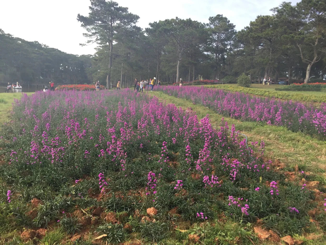 Hồ Than Thở nằm ở đâu và di chuyển thế nào?