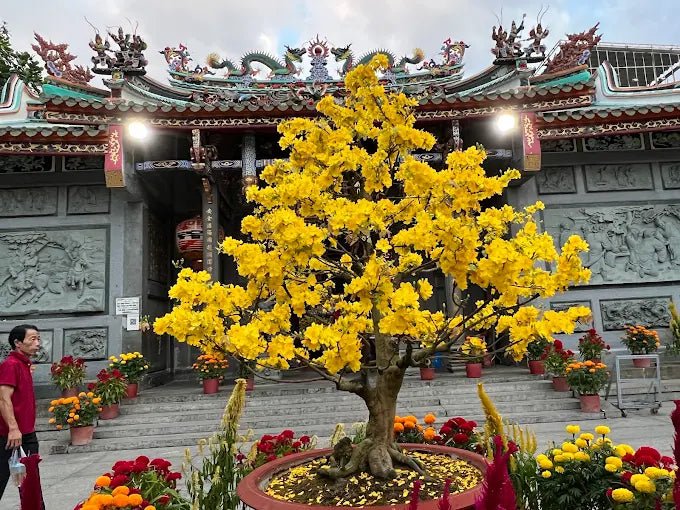 Hội Quán Nghĩa An Sài Gòn