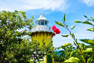 1. Hải đăng Tiên Sa nằm ở đâu?