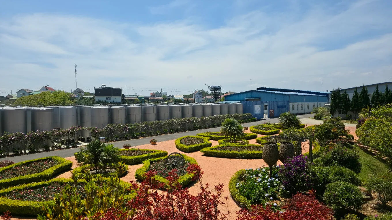 Có được thử rượu vang miễn phí khi tham quan không?