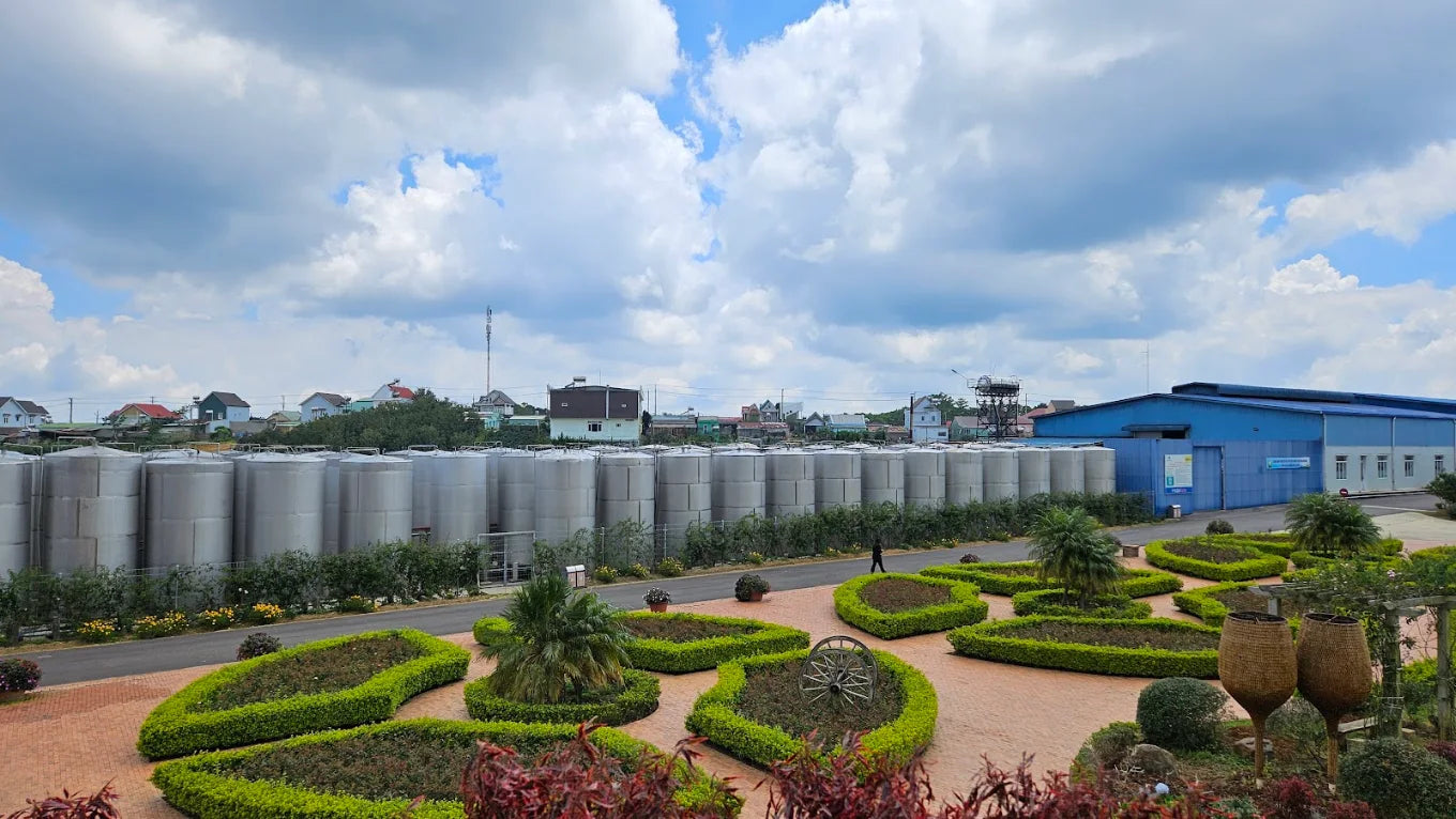 Những Câu Hỏi Thường Gặp Khi Khám Phá Hầm Rượu Vang Đà Lạt