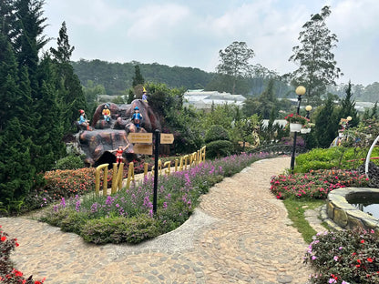 Hầm Rượu Vang Vĩnh Tiến Đà Lạt