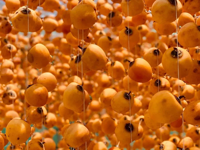 Hồng Treo Gió Sỉ Và Lẻ Đà Lạt - Sunny Farm