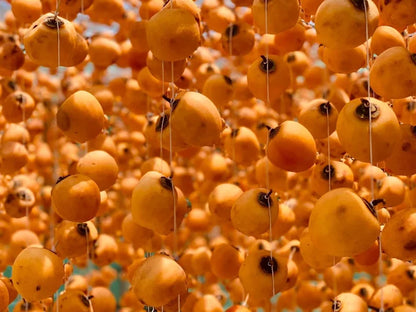 Hồng Treo Gió Sỉ Và Lẻ Đà Lạt - Sunny Farm