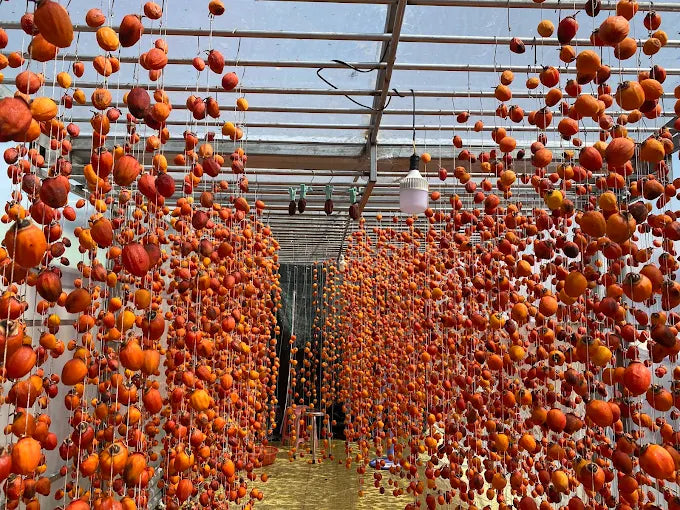 Hồng Treo Gió Sỉ Và Lẻ Đà Lạt - Sunny Farm