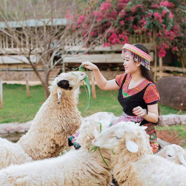 Happy Land Mộc Châu