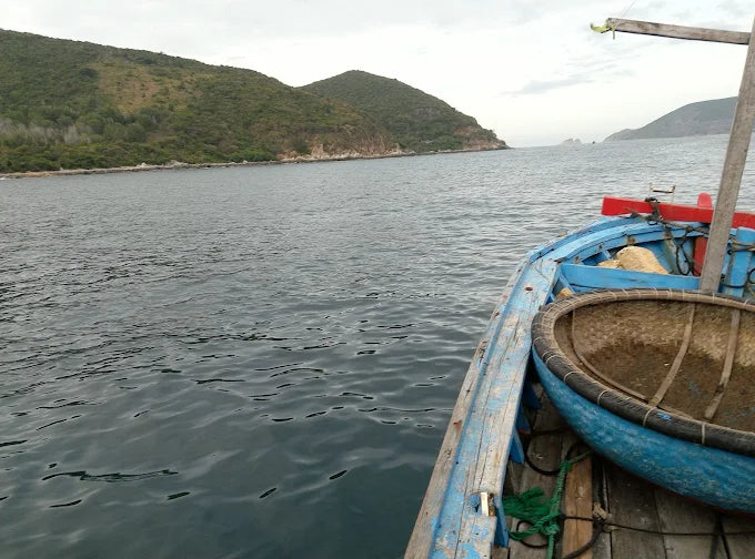 Chi phí ăn uống trên nhà bè Hòn Một có đắt không?