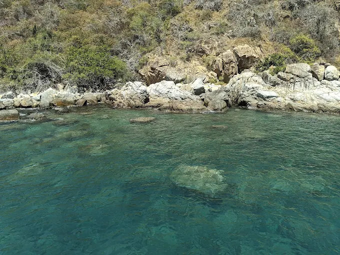 Hon Mot Island Nha Trang