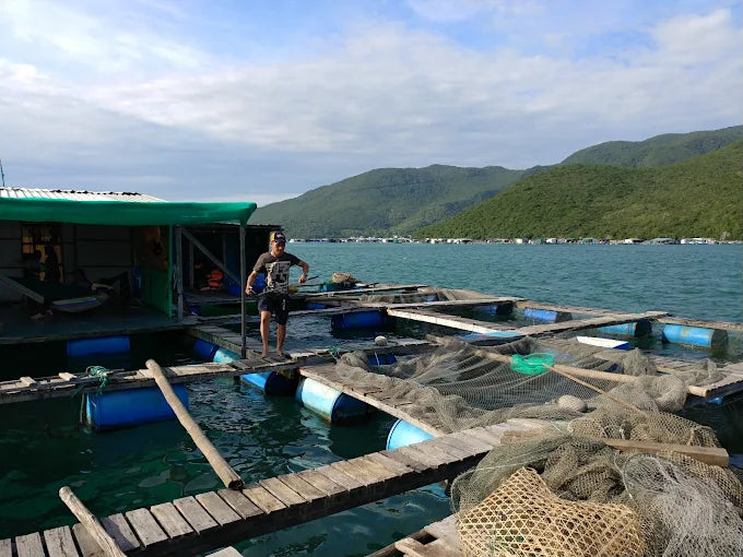 Hon Mot Island Nha Trang