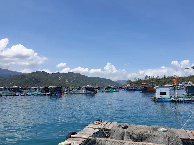 Hon Mot Island Nha Trang