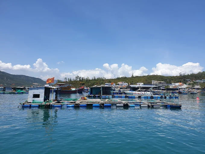 Cập Nhật Chi Phí Và Giá Tour Hòn Một Nha Trang