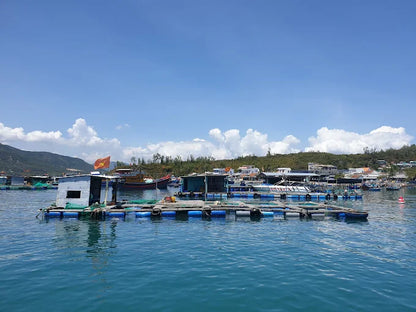 Cập Nhật Chi Phí Và Giá Tour Hòn Một Nha Trang