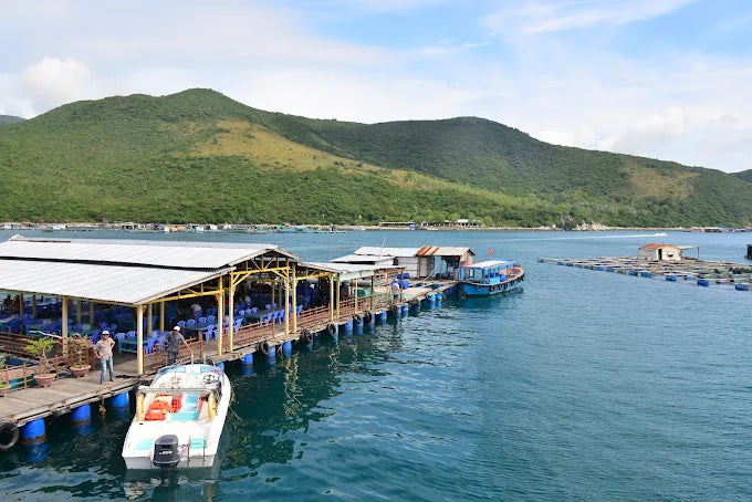 Phân Tích Phương Án Khám Phá Đảo Hòn Một