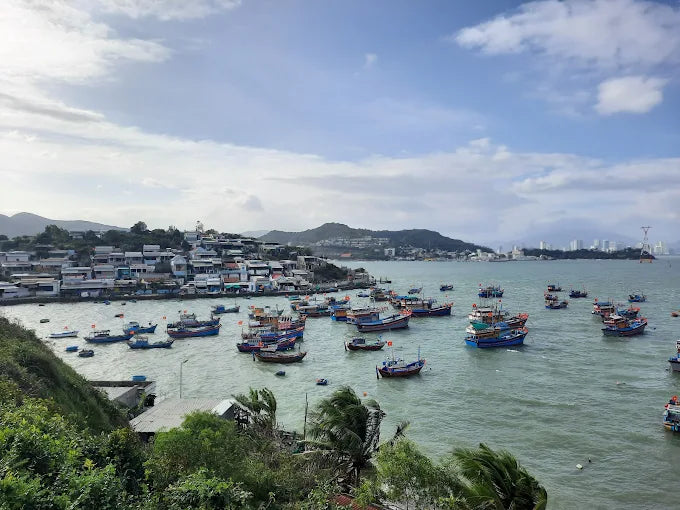 Hon Mieu Island Nha Trang