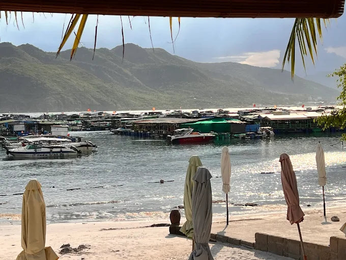 Hon Mieu Island Nha Trang