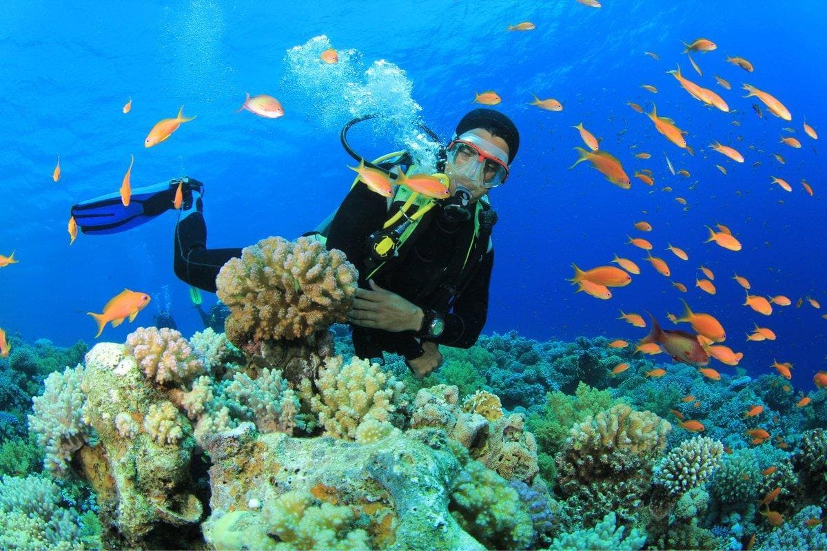 Thông Tin Cốt Lõi Để Lên Kế Hoạch Khám Phá Hòn Ông
