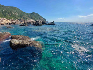 Hòn Rùa Nha Trang: "Hidden Gem" Cho Chuyến Đi Tìm Về Thiên Nhiên