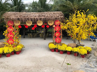 Bảng Giá Dịch Vụ Du Lịch Hòn Sỏi (Tham Khảo)