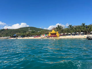 Tại Sao Nên Chọn Localtrips.ORG?