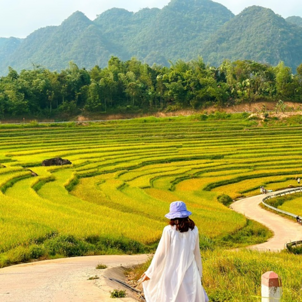 Khu Bảo Tồn Thiên Nhiên Pù Luông