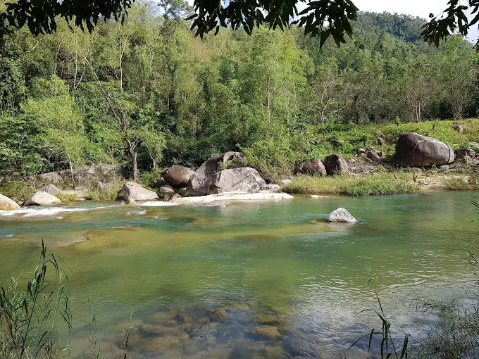 Vì Sao Nên Đặt Dịch Vụ Lữ Hành Qua Localtrips.ORG?
