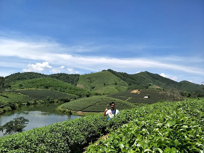 Khu Bảo tồn Thiên nhiên Hòn Bà: Tiếng Gọi Nơi Đỉnh Sương Mờ Khánh Hòa