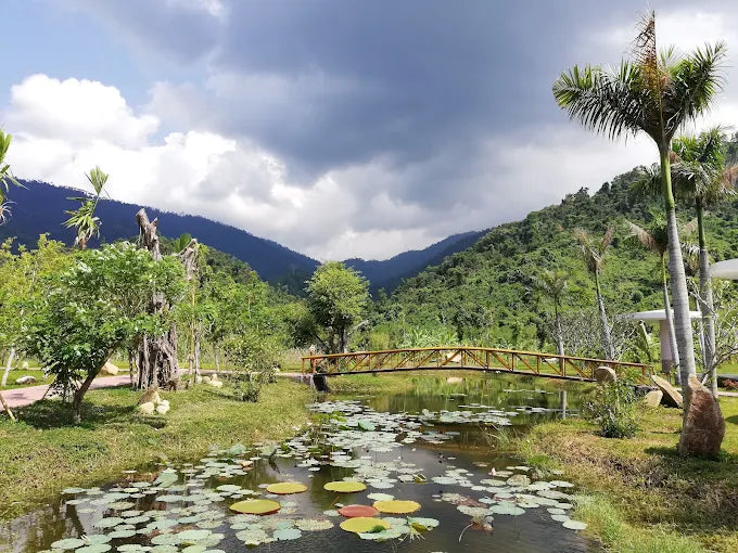 Hon Ba Nature Reserve