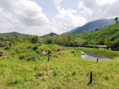 Những Quyền Lợi Vượt Trội Khi Lựa Choice Localtrips.ORG